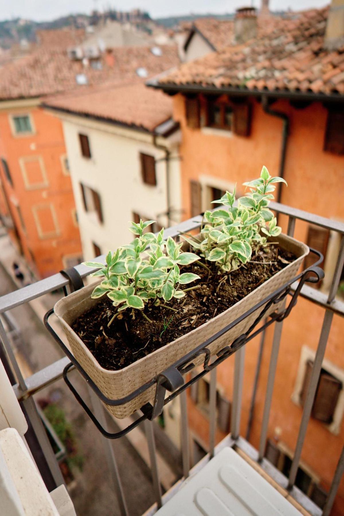 Vista Apartments Verona Dış mekan fotoğraf